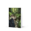 Greeting card - Along the Forest Path
